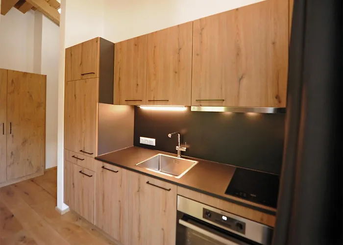 Lägenhet Marios Hittn Viehhofen